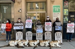 iditarod demo