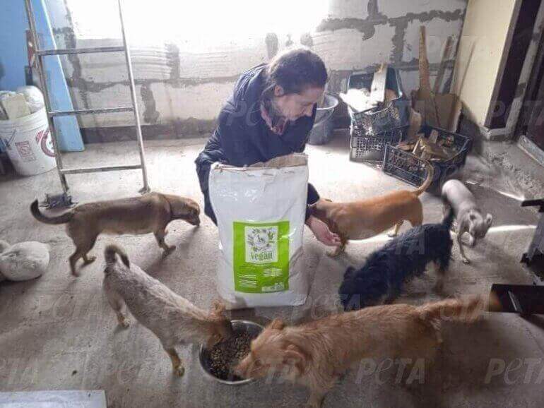 Dogs being rescued in Ukraine 