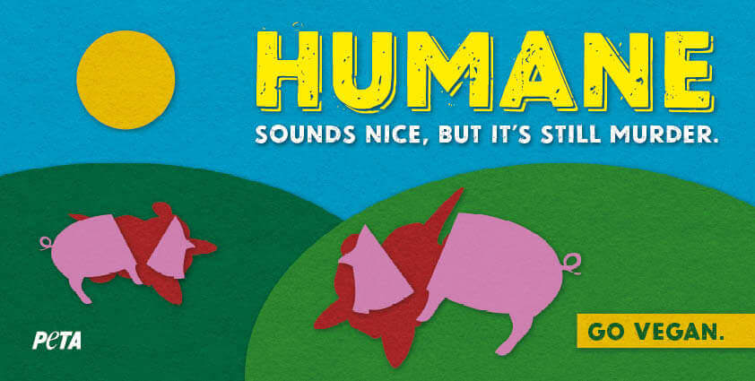 Humane sounds nice, but it's still murder