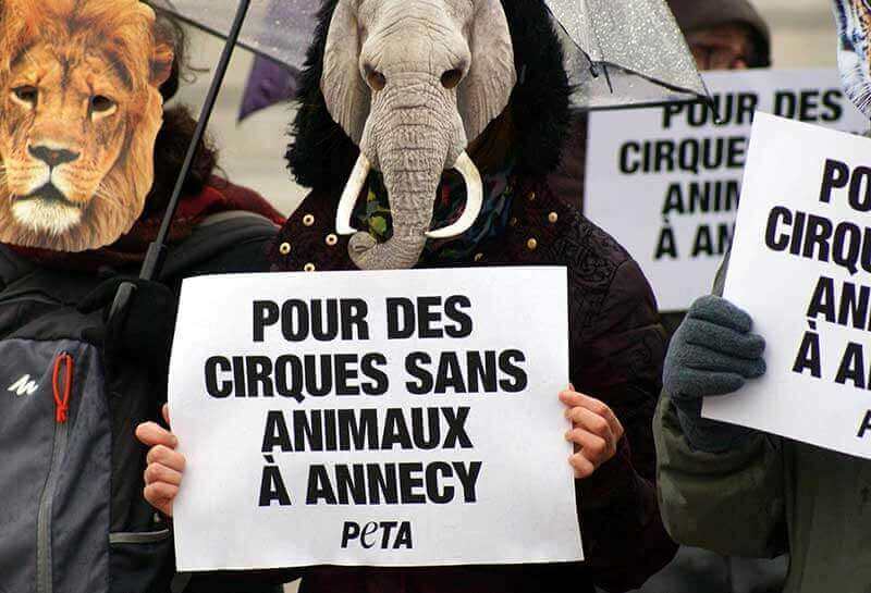 peta france protest circus
