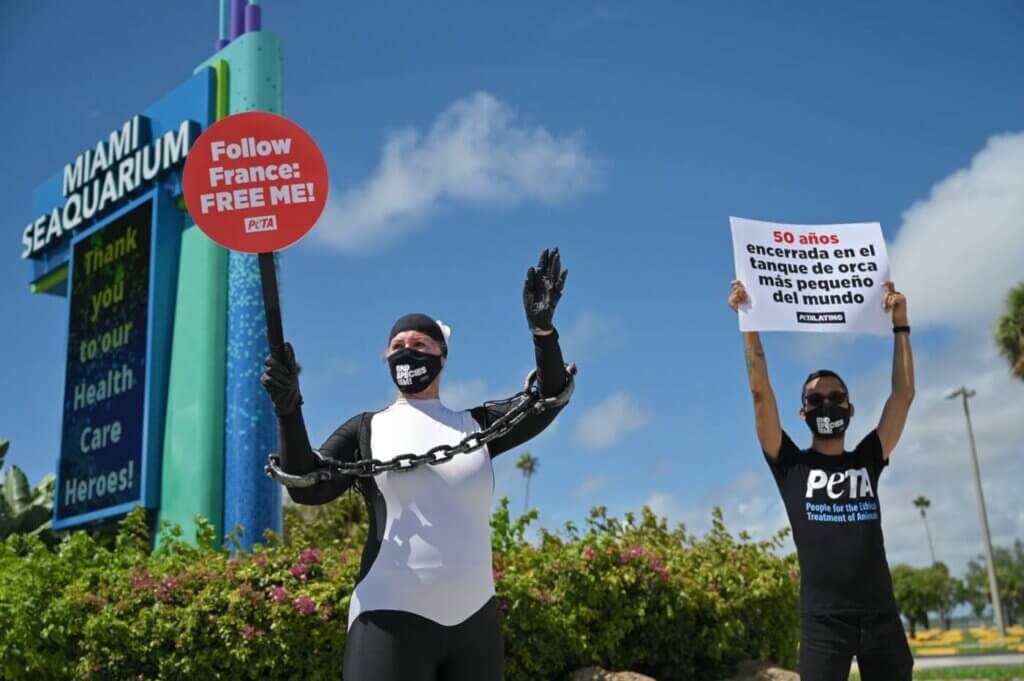 PETA Protesters at Miami Seaquarium