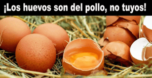 Eggs are for chickens, not you. Eggs.