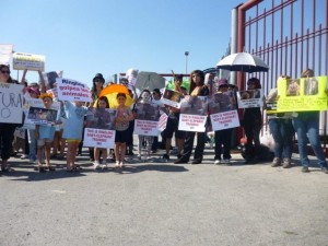 Únete a la Red de Activistas y ayuda a los animales Únete a la Red de Activistas y ayuda a los animales