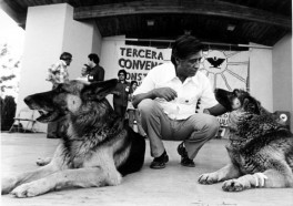 Derechos humanos, derechos de los animales y la no-violencia: El legado duradero de César Chávez