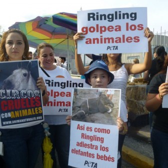 boycott-ringling