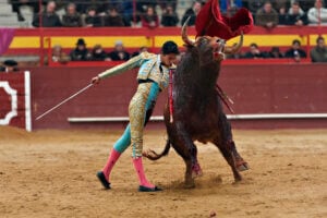 matador apuñalando toro