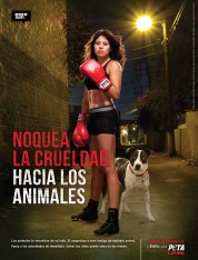 Marlen Esparza: Noquea la crueldad hacia los animales