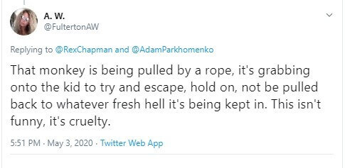 Tweet in response to monkey video
