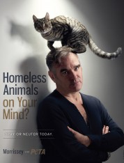 Morrissey: Homeless Animals on Your Mind?
