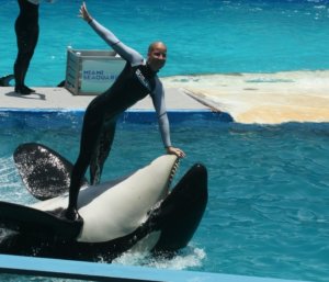 stand-on-lolita-cc-cropped-e1407257967409