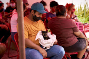 hombre con un gato