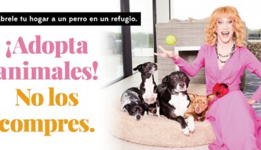 Kathy Griffin está haciendo un adorable llamado a adoptar, no comprar
