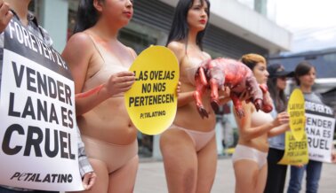 10 manifestaciones icónicas de PETA Latino que ayudaron a promover los derechos de los animales en la comunidad latina