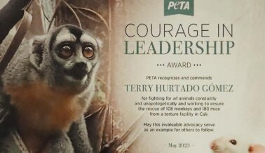 ¿Por qué el concejal colombiano Terry Hurtado Gómez ganó el premio de PETA al “Liderazgo con Valor”?