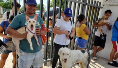 Conoce a los 255 perros y gatos cuyas vidas PETA mejoró