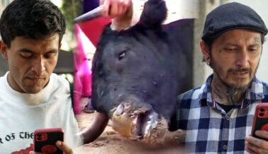 ¿Qué opinan los hombres sobre las corridas de toros? (VIDEO)
