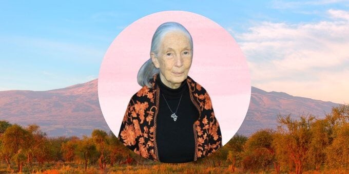 Jane Goodall redefinió a los animales como alguien, no algo