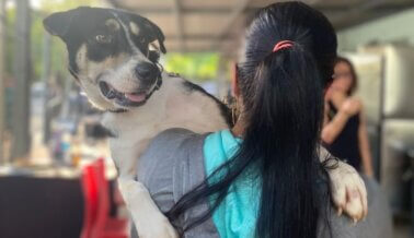 PETA Latino bate récord en evento de esterilización de Puerto Rico