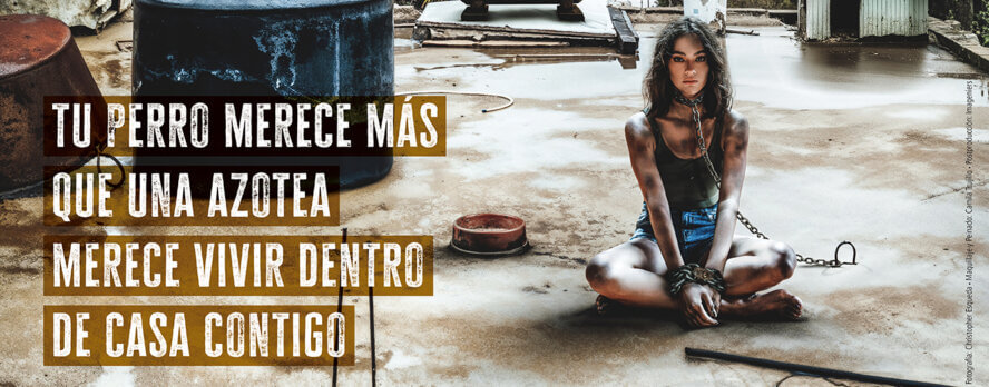 Estrella mexicana de telenovelas Ale Müller está encadenada en una azotea sucia en video de PETA Latino para ayudar a perros descuidados