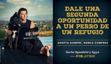 Gavin Rossdale abraza a gatos y perros adoptables para impulsar la adopción