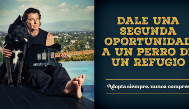 Gavin Rossdale abraza a gatos y perros adoptables para impulsar la adopción