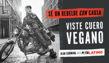 El ganador de un Emmy y leyenda del cabaret tiene un mensaje para la sucia industria de las pieles de animales.