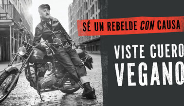 Alan Cumming se rebela por una buena causa en nueva campaña de cuero vegano de PETA Latino