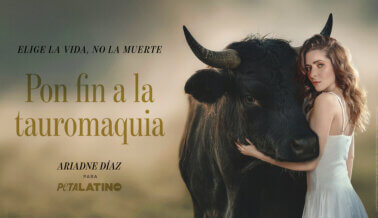 Ariadne Díaz protagoniza un impactante anuncio de servicio público inspirado en un toro que prefirió las flores en lugar de embestir.