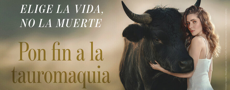 Una actriz mexicana usa la poderosa historia de un toro pacífico para inspirar a la gente a oponerse a las corridas de toros