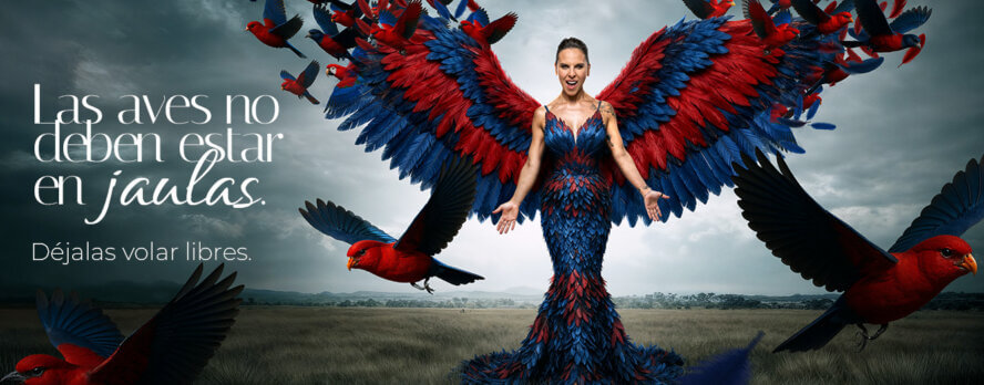 La defensora de las aves Kate del Castillo despliega sus alas en un nuevo anuncio de PETA Latino