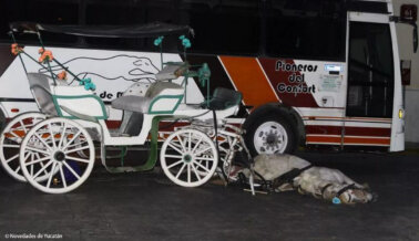 Mérida necesita un futuro compasivo: Empezando con la prohibición de los carruajes