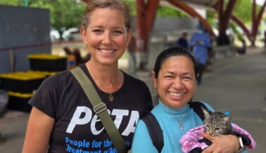 ¡Sol, arena y esterilizaciones! Cómo el Maratón de Esterilización de 4 días de PETA Latino cambió vidas en Cancún