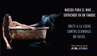 La luchadora profesional Brie Garcia arremete contra SeaWorld en una nueva campaña de PETA Latino