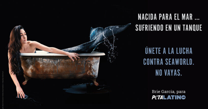 La luchadora profesional Brie Garcia derriba a SeaWorld en nueva y poderosa campaña para PETA