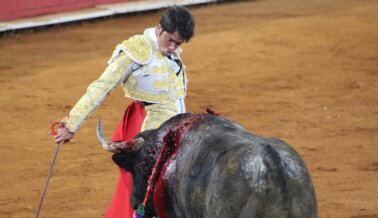 ¡Ayuda a poner fin a las corridas de toros en Mallorca!