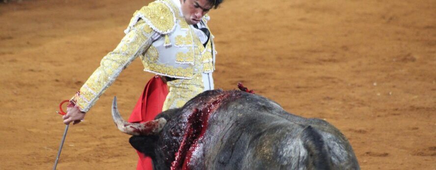 ¡Ayuda a poner fin a las corridas de toros en Mallorca!