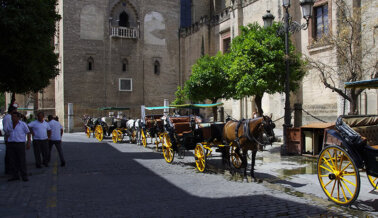 Exige la prohibición de los carruajes tirados por caballos en Mallorca