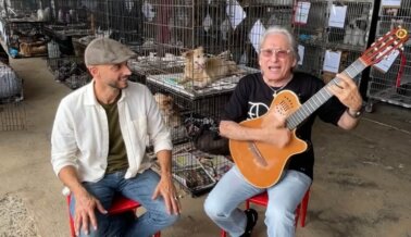 Artistas puertorriqueños alzan la voz por los animales necesitados