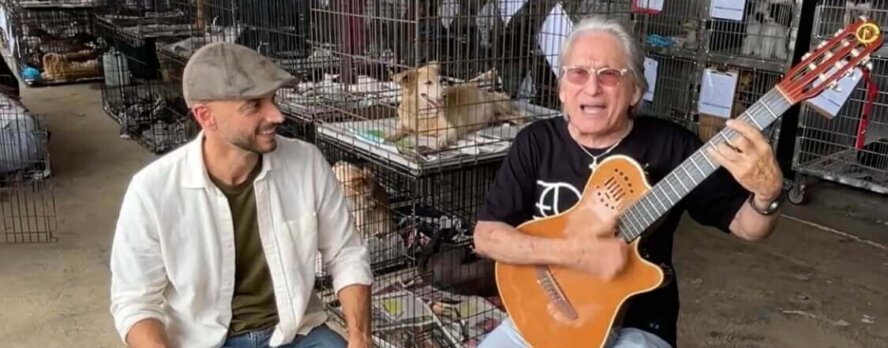 Artistas puertorriqueños alzan la voz por los animales necesitados