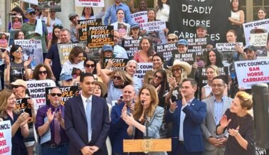Gran avance para los caballos: La prohibición de los carruajes tirados por caballos avanza en la ciudad de Nueva York