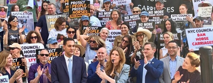 Gran avance para los caballos: La prohibición de los carruajes tirados por caballos avanza en la ciudad de Nueva York
