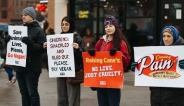 Detrás del pollo de Raising Cane’s: ahogamientos, escaldamientos y negligencia