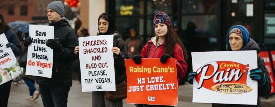 Detrás del pollo de Raising Cane’s: ahogamientos, escaldamientos y negligencia