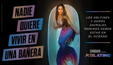 Chiquis cuenta una historia que SeaWorld no quiere que escuches
