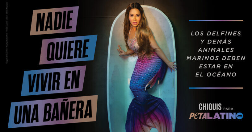Chiquis cuenta una historia que SeaWorld no quiere que escuches