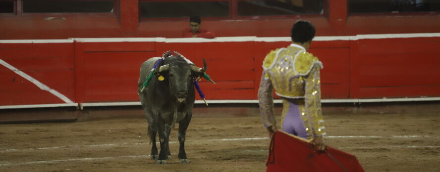 La ley es clara: pongamos fin a las corridas de toros en México
