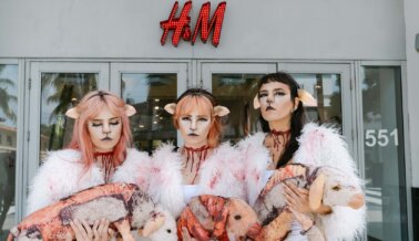 Las ovejas sufren por la lana: PETA exige a H&M que deje de venderla