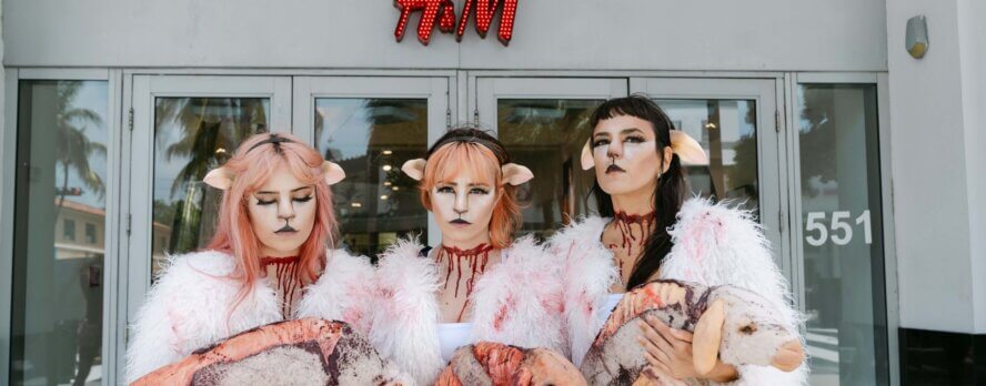 Las ovejas sufren por la lana: PETA exige a H&M que deje de venderla