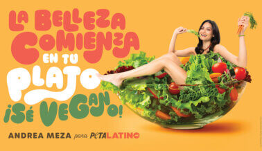 Andrea Meza, Miss Universo 2020, comparte un mensaje delicioso: hazte vegano