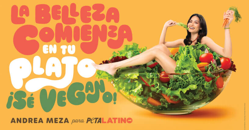 Andrea Meza, Miss Universo 2020, comparte un mensaje delicioso: hazte vegano